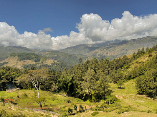 Single origin coffee from Samoro, East Timor