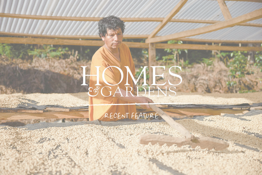 Recent Feature | Homes & Gardens