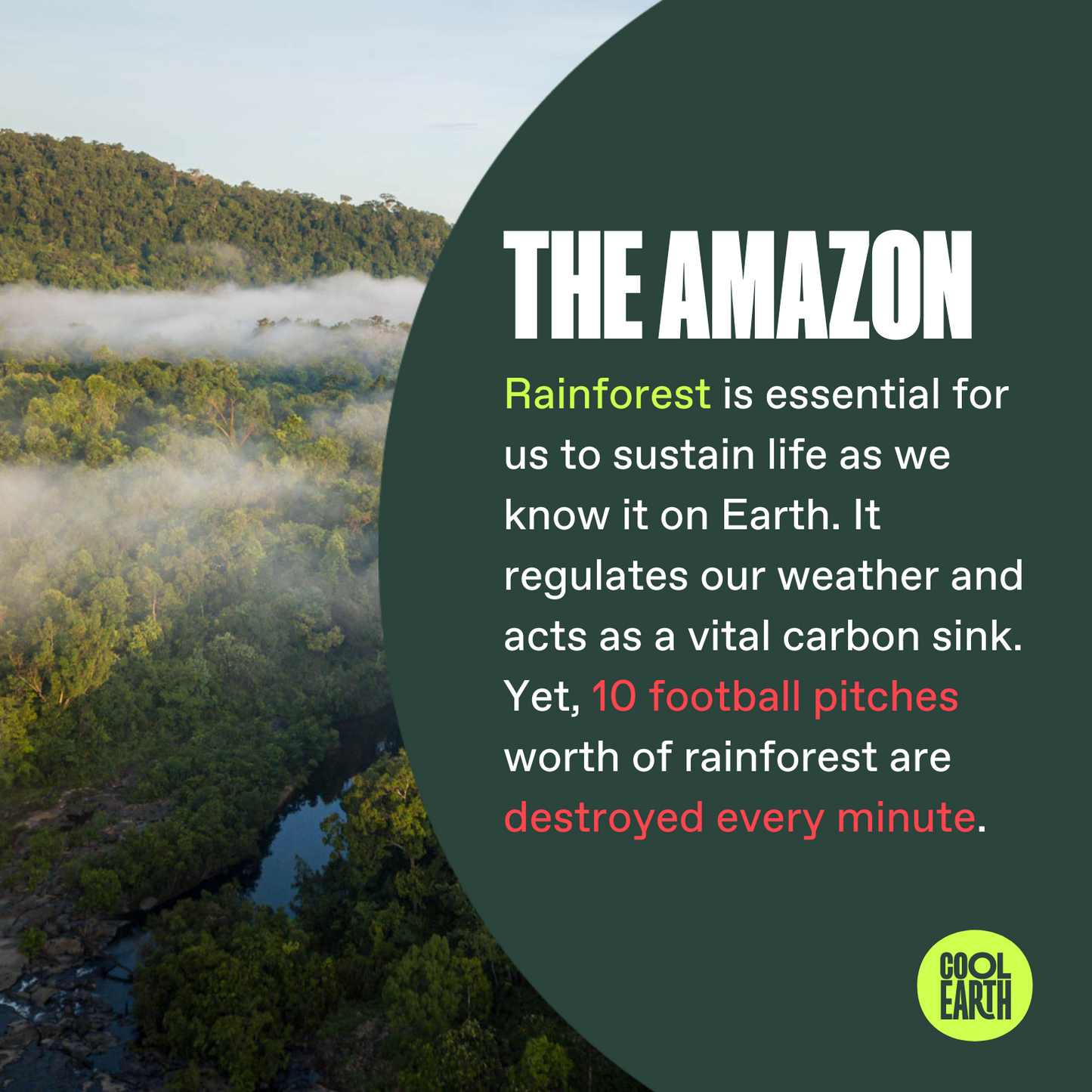 Cool Earth x Easy Jose Indigenous Community Coffee