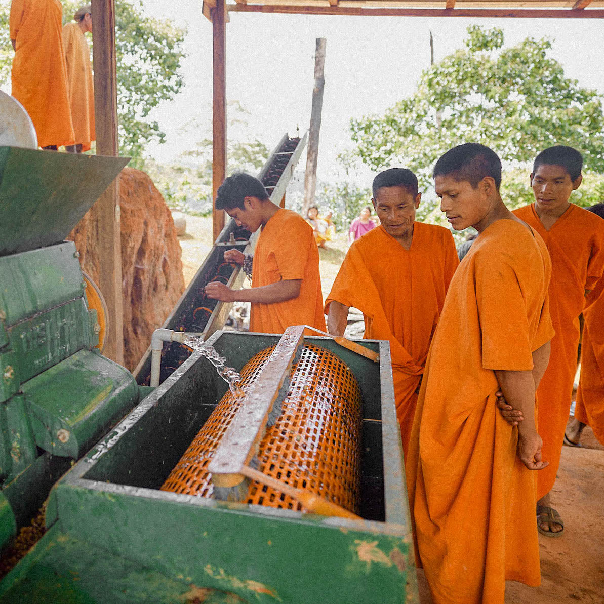 12 Month Mayni Subscription Gift Box