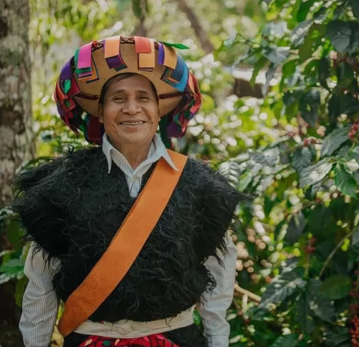 Mayan Tzeltal Indigenous Community Coffee