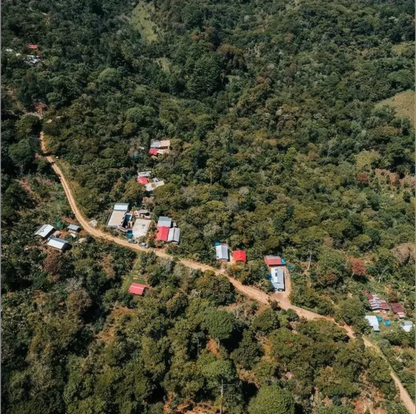 Mayan Tzeltal Indigenous Community Coffee