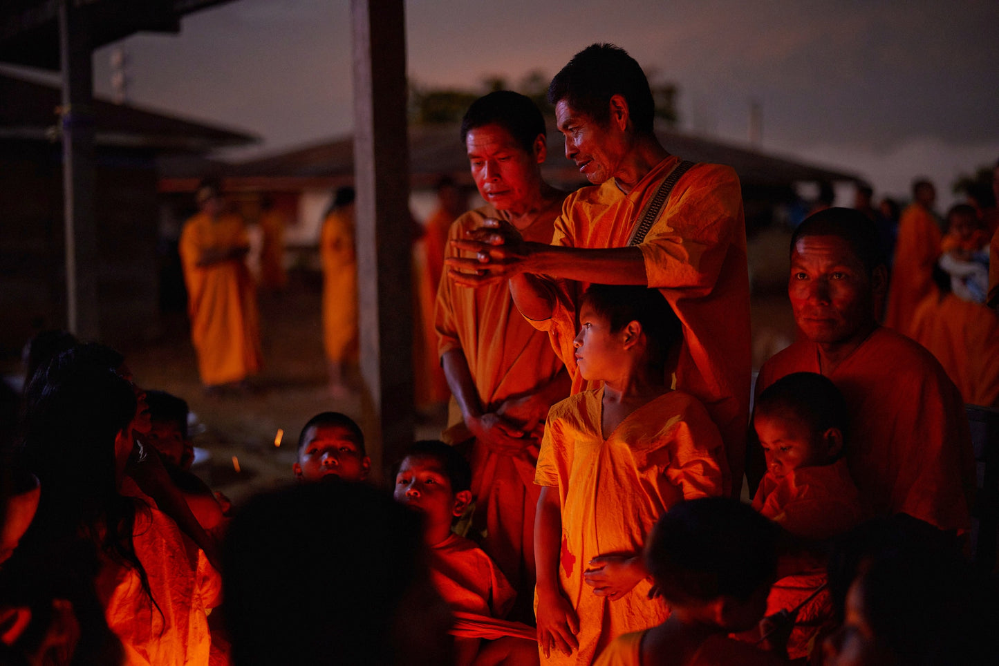 Yaguara, Mayni Darker Roast